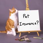 猫とペット保険